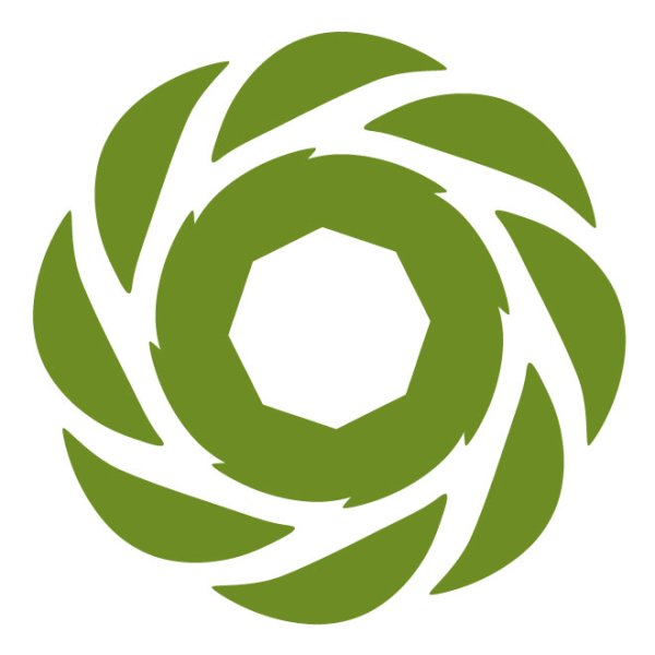 Логотип цветок