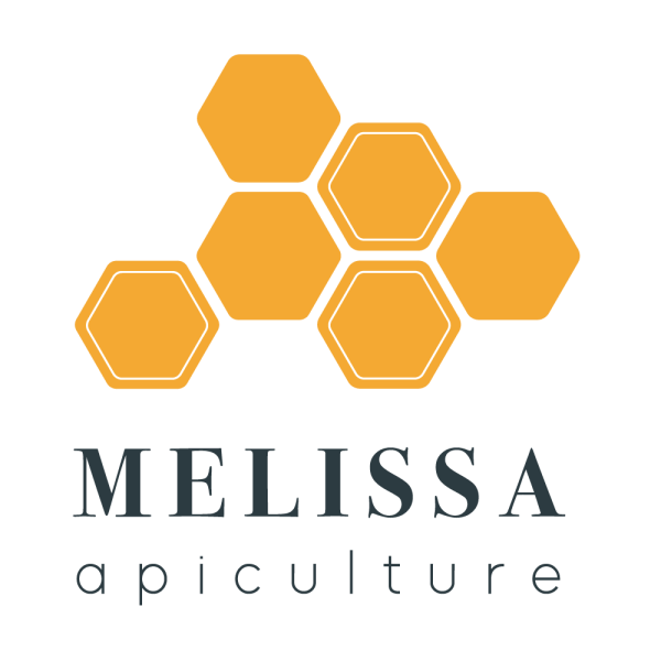 Медовый логотип