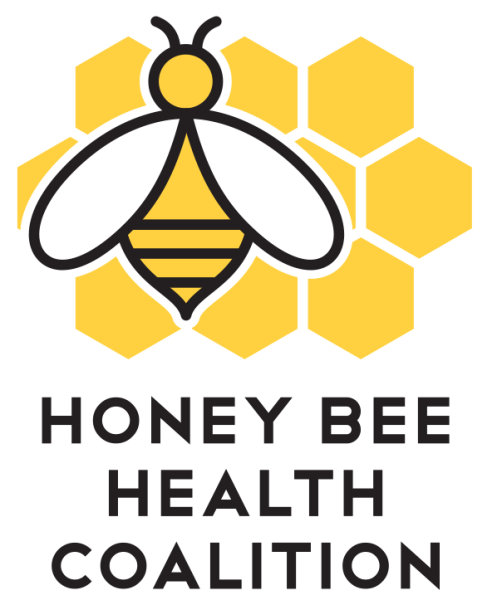 Логотип пчела мед