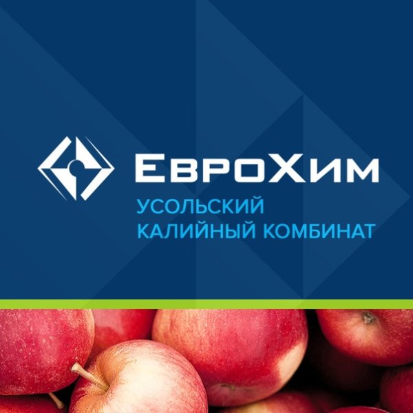 ЕВРОХИМ Усолье