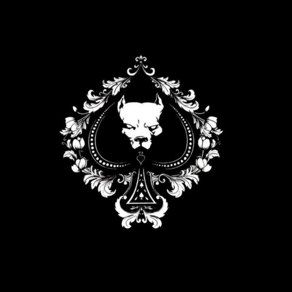 Логотип на черном фоне