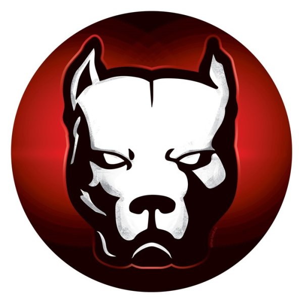 Питбуль Давидыча