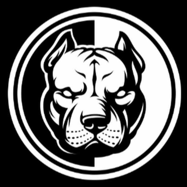 Питбуль Давидыча