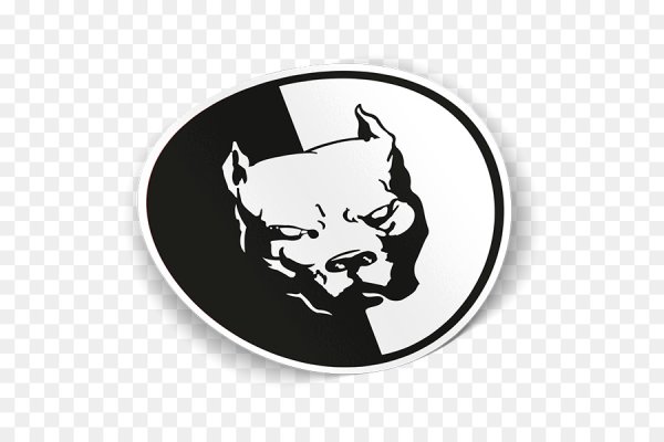 Питбуль на черном фоне