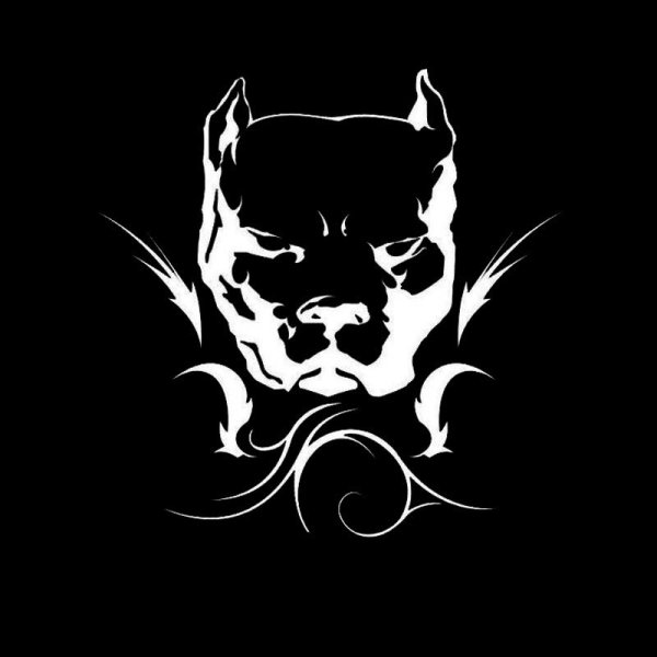 Pitbull Давидыч