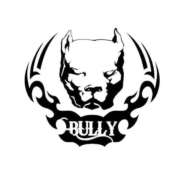 Питбуль Давидыча