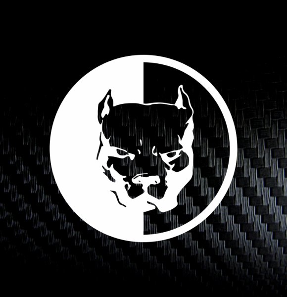 Питбуль Эрика Давидыча