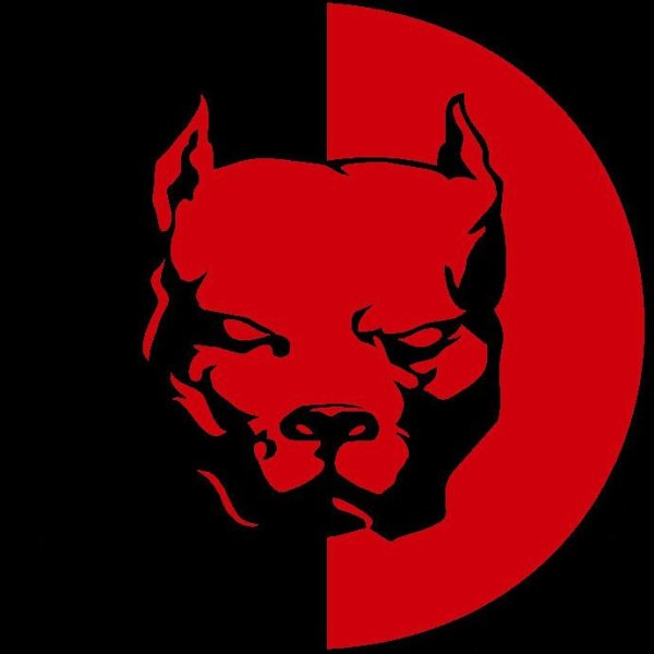 Логотип Эрика Давидовича питбуль