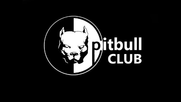 Питбуль наклейка на авто