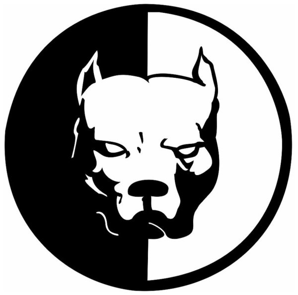 Питбуль Графика