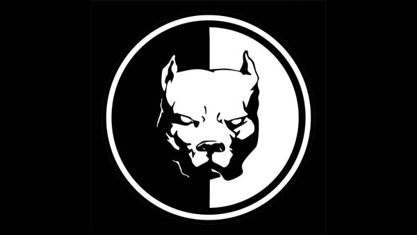 Питбуль Синдикат логотип