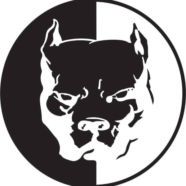 Питбуль Давидыча