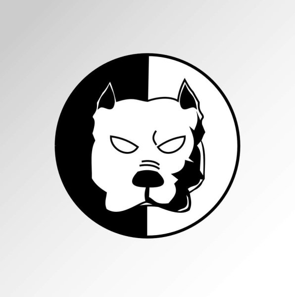 Питбуль Давидыча