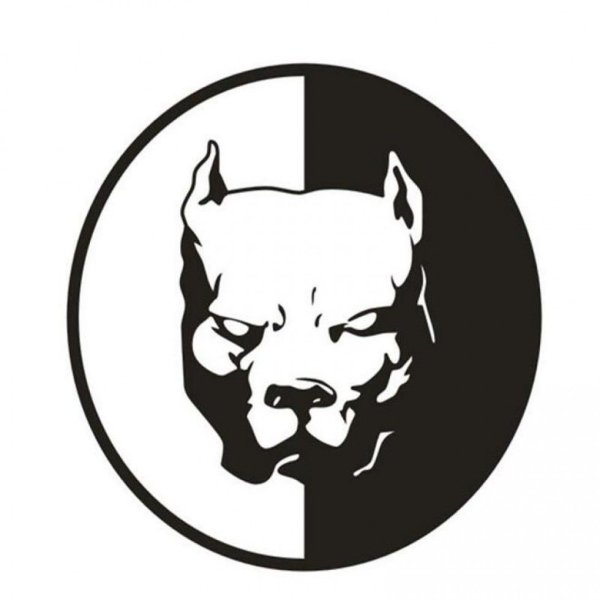 Эрик Давидыч питбуль