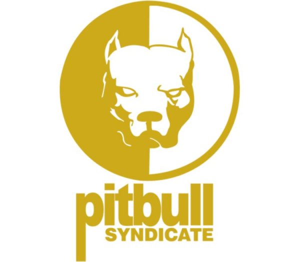 Эрик Давидыч питбуль