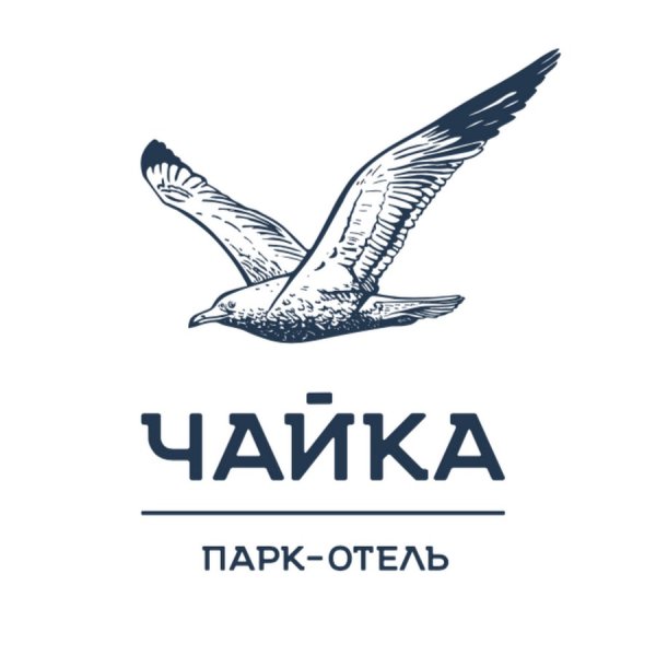 Чайка парк отель Барнаул логотип