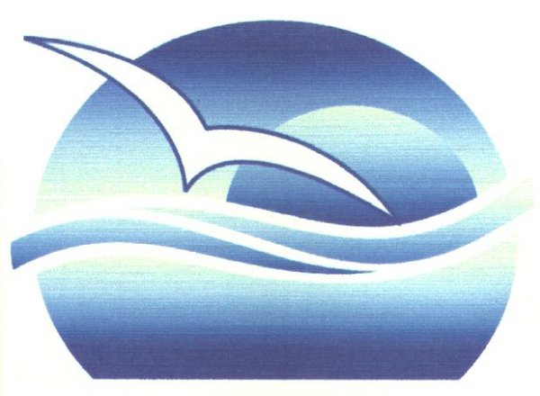 Буревестник символ