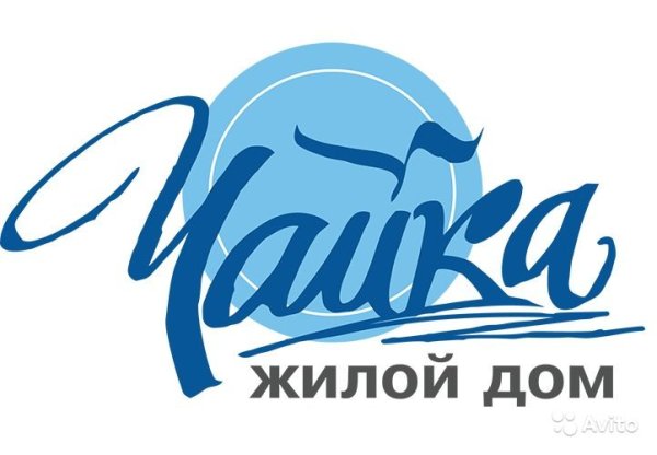 Чайка надпись