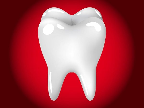 Зуб картинка