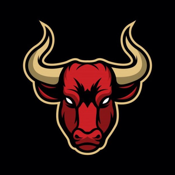 Bull бык КС го