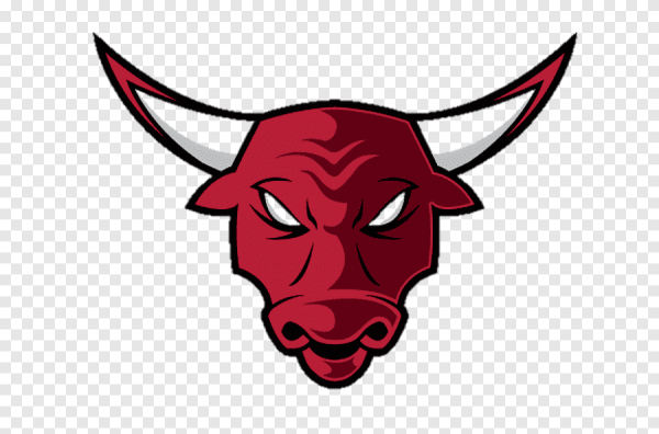 Маска голова бык Chikago bulls