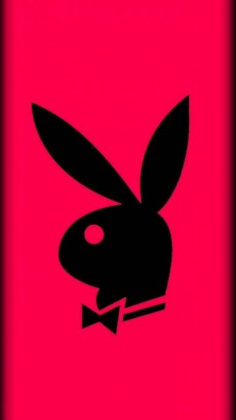 Плейбой заяц