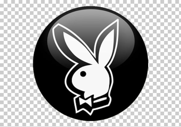 Плейбой заяц