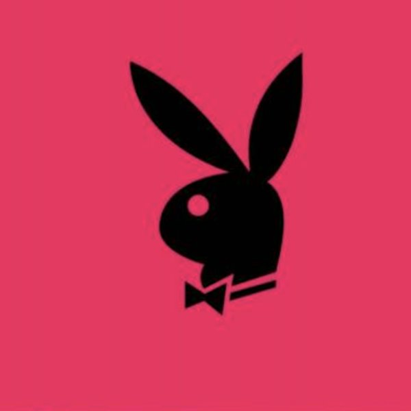 Зайчик плейбой