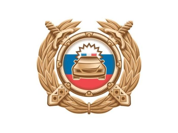 Госавтоинспекция значок