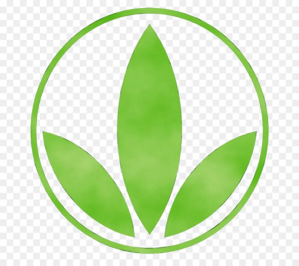 Салатовый логотип