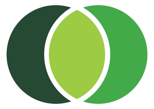 Салатовый логотип