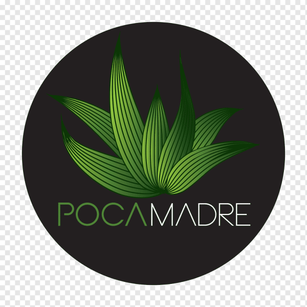 Логотипы зеленого цвета