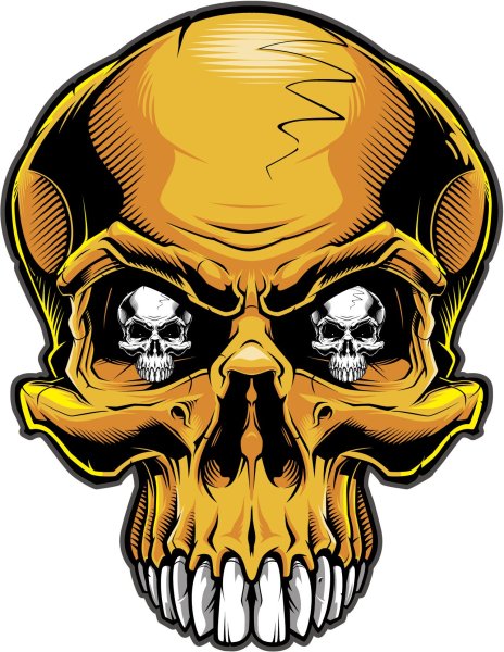 Череп вектор