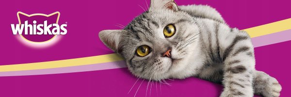 Корм кошачий реклама Whiskas