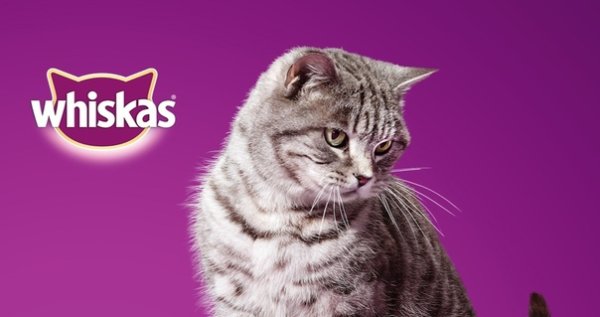 Реклама вискас