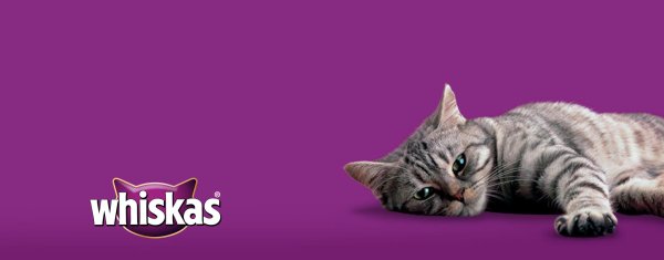 Whiskas Cat