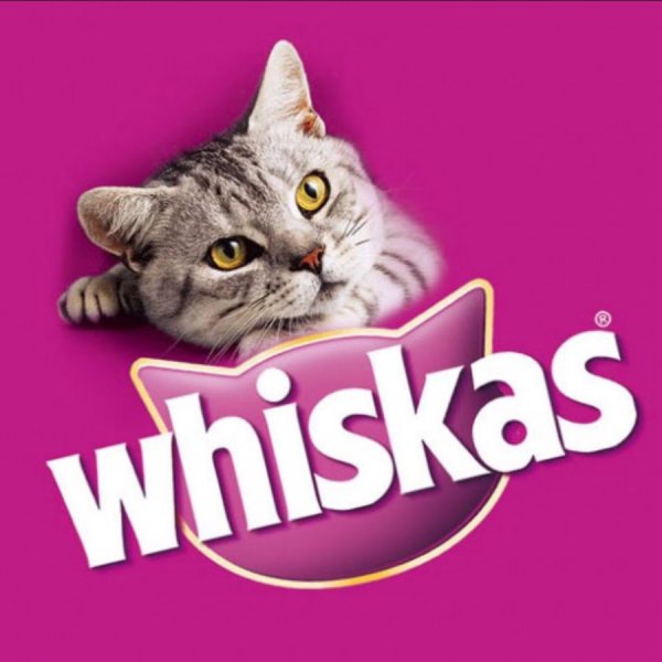 Вискас фото