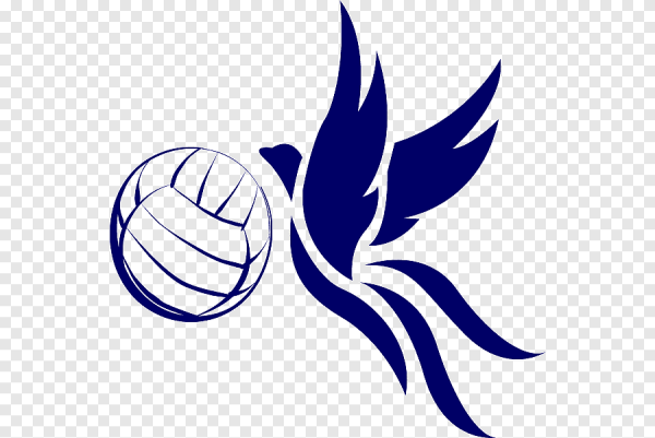 Эмблема волейбольной команды
