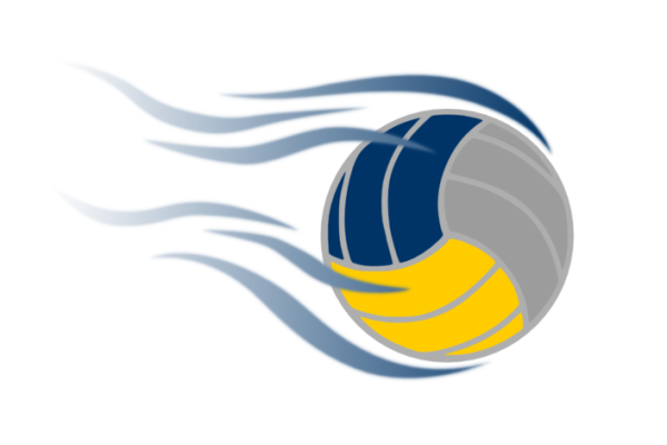 Символ волейбола