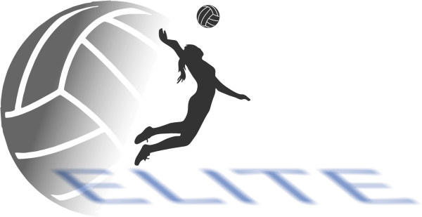 ВФВ волейбол вектор