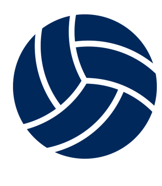 Волейбольный мяч логотип