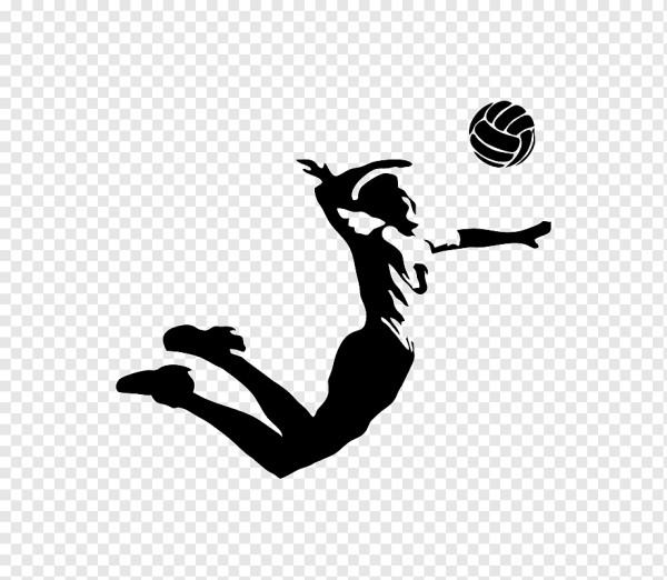 Волейбол черно белый