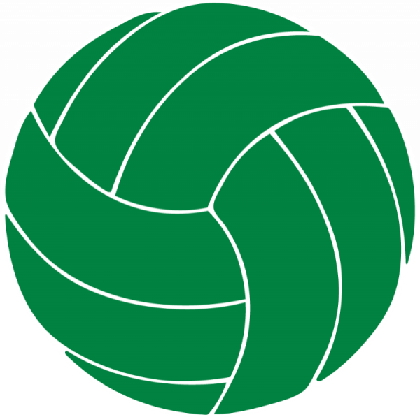 Векторный волейбольный мяч