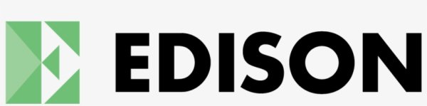 Edison логотип вектор