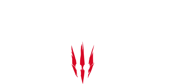 The Witcher 3 Wild Hunt логотип
