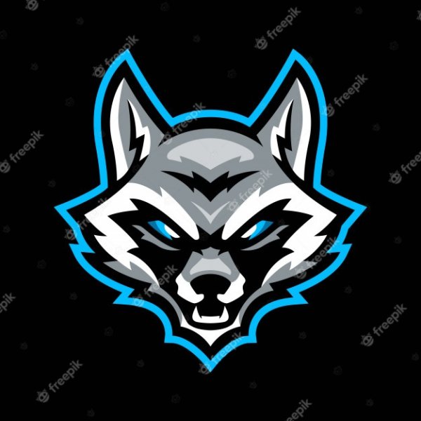 Енот эмблема