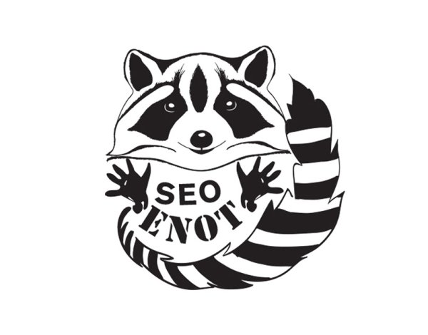 Енот стилизация