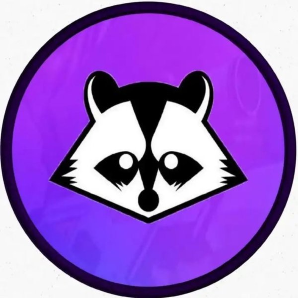 Фиолетовый енот