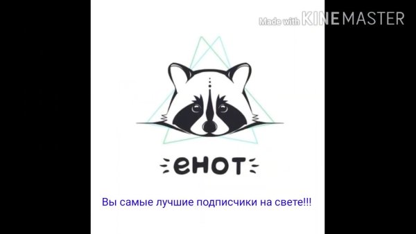 Енот Минимализм