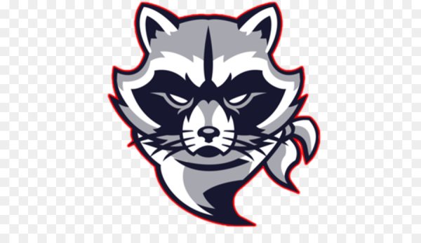 Арты енотов для логотипа